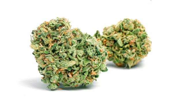 Blue Dream strain