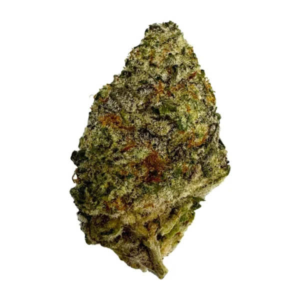 governmint oasis strain
