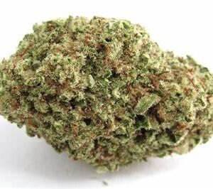 papaya punch strain