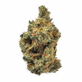 Papaya strain cannabis flower with dense tropical-green buds and bright orange pistils