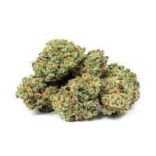 Apple Fritter strain cannabis flower with dense frosty buds and green-orange hues