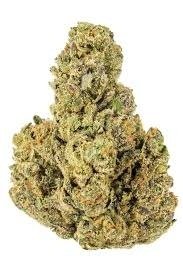 Apples and Bananas strain cannabis flower with dense frosty buds and green-orange hues