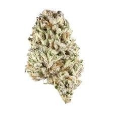 Biscotti strain cannabis flower with dense frosty buds and green-purple hues