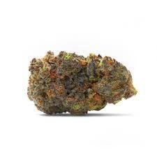Black Cherry Gelato strain cannabis flower with dense frosty buds and dark purple-green hues