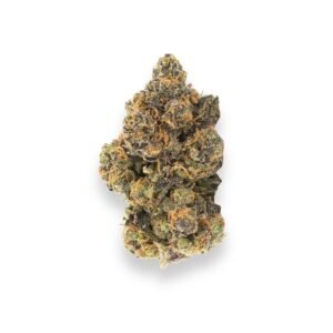 Candyland strain cannabis flower with colorful frosty buds and bright orange pistils