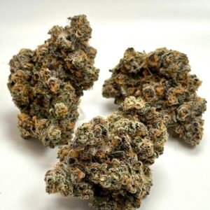 Glitter Bomb strain cannabis flower with dense frosty buds and green-purple hues