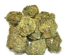 MAC strain cannabis flower with dense frosty buds and light green trichomes