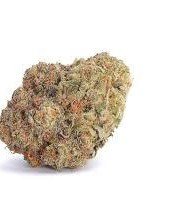 Mimosa strain cannabis flower with bright green buds and vibrant orange pistils