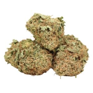 Sunset Sherbet strain cannabis flower with dense frosty buds and colorful green-purple hues