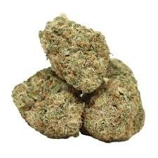 Girl Scout Cookies strain cannabis flower with dense frosty buds and green-purple hues